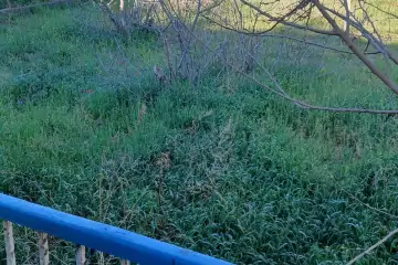 Satılır Torpaq Bilgəhdə