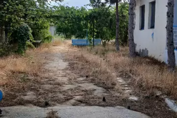 Satılır Torpaq Bilgəhdə