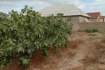 Satılır Həyət Evi Maştağada