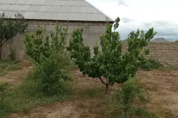 Satılır Həyət Evi Maştağada