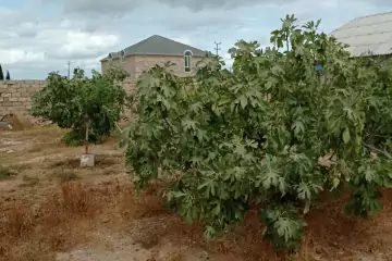 Satılır Həyət Evi Maştağada