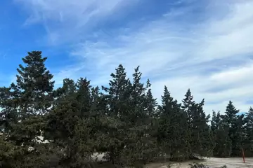 Satılır Torpaq Qalada
