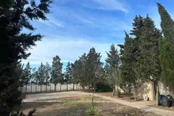 Satılır Torpaq Qalada