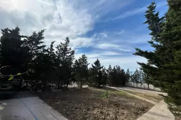 Satılır Torpaq Qalada