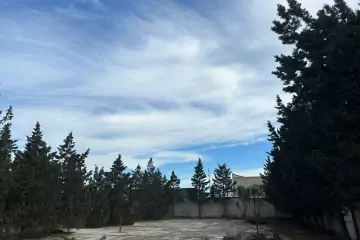 Satılır Torpaq Qalada
