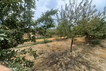 Satılır Torpaq Maştağada