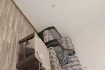 Aylıq Kirayə Yeni Tikili Yeni Yasamalda