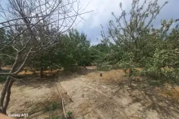 Satılır Torpaq Maştağada