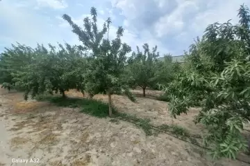 Satılır Torpaq Maştağada