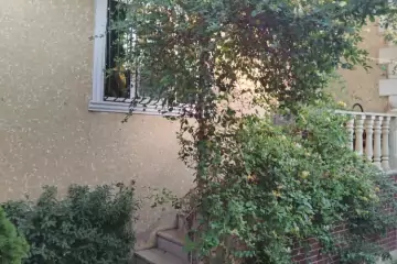 Satılır Həyət Evi Maştağada