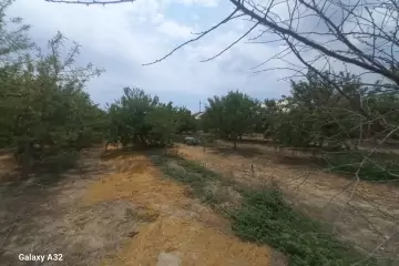 Satılır Torpaq Maştağada