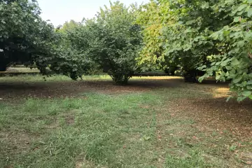 Satılır Torpaq Zarağan Kəndində