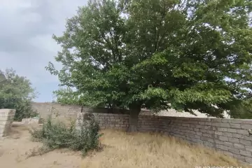 Satılır Torpaq Maştağada 