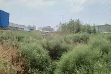 Satılır Torpaq Biləcəridə