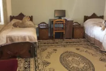 Satılır Bağ Evi İsmayıllı Rayonunda