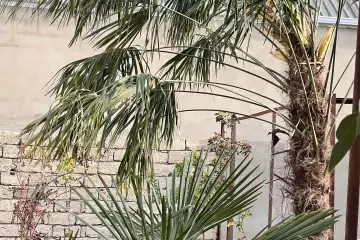 Satılır Həyət Evi Hövsanda
