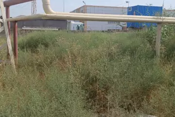 Satılır Torpaq Biləcəridə