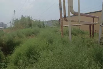 Satılır Torpaq Biləcəridə