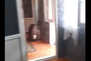 Aylıq Kirayə Həyət Evi Xırdalan şəhərində