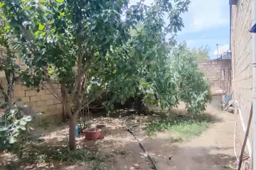 Satılır Həyət Evi Masazırda