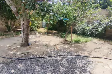 Satılır Həyət Evi Masazırda