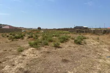 Satılır Torpaq Sarayda