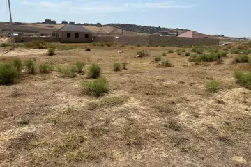 Satılır Torpaq Sarayda