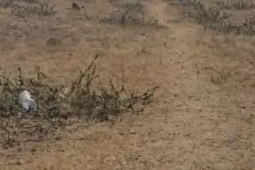 Satılır Torpaq Buzovnada
