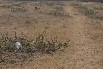 Satılır Torpaq Buzovnada