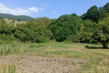 Satılır Torpaq İsmayıllı Rayonunda