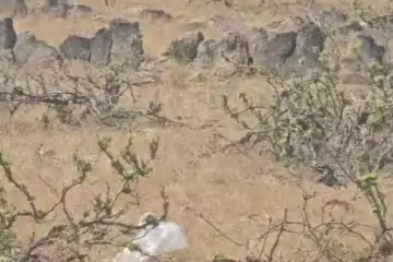 Satılır Torpaq Buzovnada