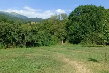 Satılır Torpaq İsmayıllı Rayonunda