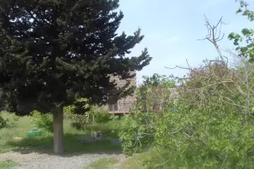 Satılır Torpaq Buzovnada