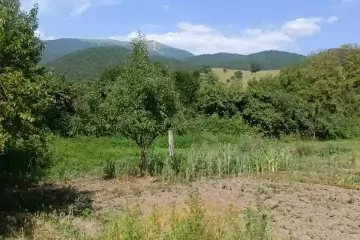 Satılır Torpaq İsmayıllı Rayonunda