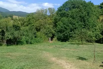 Satılır Torpaq İsmayıllı Rayonunda