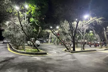 Satılır Köhnə Tikili İzmir Parkı