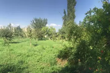 Satılır Torpaq Ağdaş Rayonunda