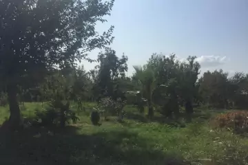 Satılır Torpaq Ağdaş Rayonunda