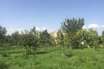 Satılır Torpaq Ağdaş Rayonunda