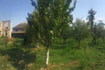 Satılır Torpaq Ağdaş Rayonunda