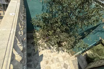 Satılır Həyət Evi Hövsanda