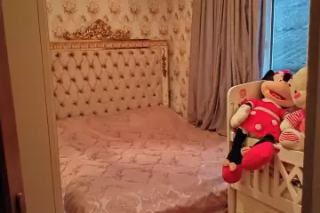 Satılır Həyət Evi Nzsda