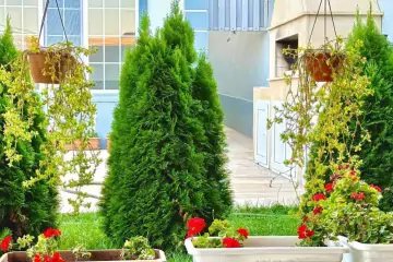 Günlük Kirayə Bağ Evi Mərdəkanda