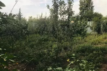 Satılır Həyət Evi Saatlı Rayonunda