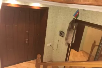 Satılır Həyət Evi Biləcəridə