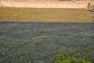 Satılır Torpaq Türkənda
