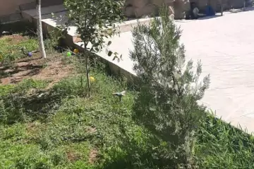 Satılır Həyət Evi Biləcəridə