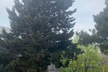 Satılır Villa Nardaranda