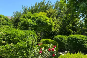 Satılır Villa Nardaranda