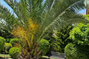 Satılır Villa Nardaranda